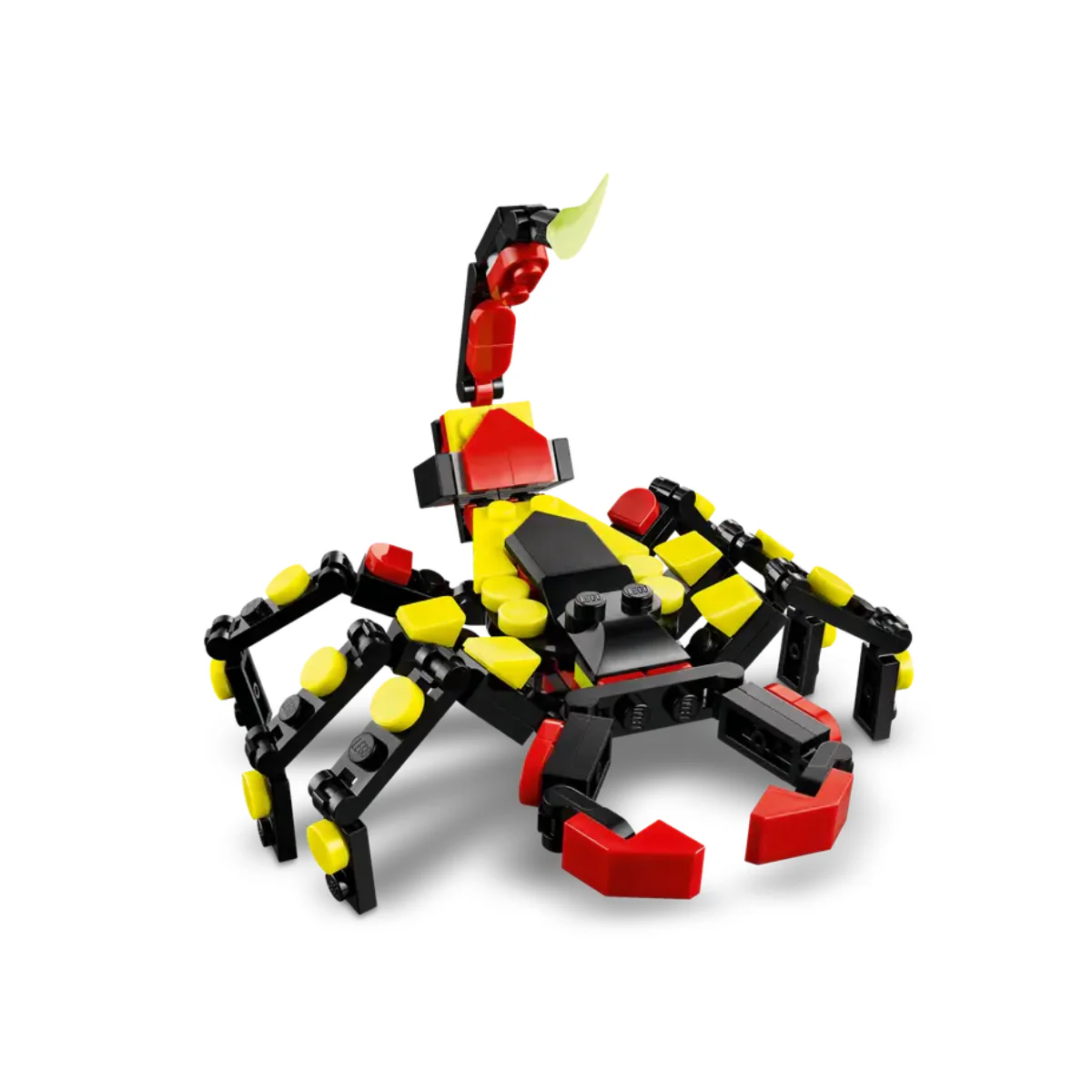 Miniatura 6