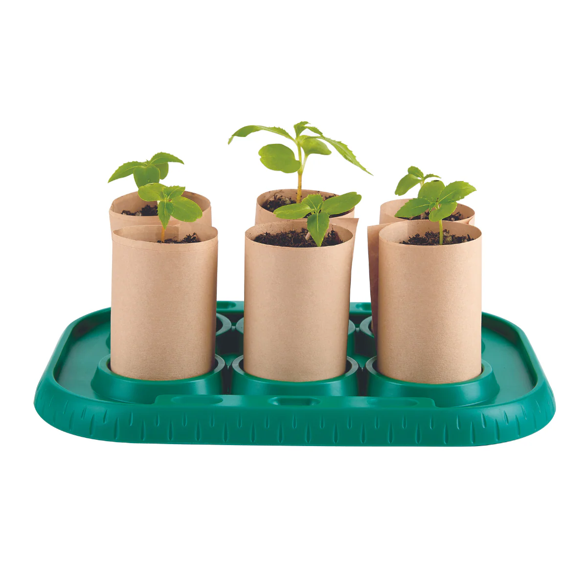 Miniatura 2