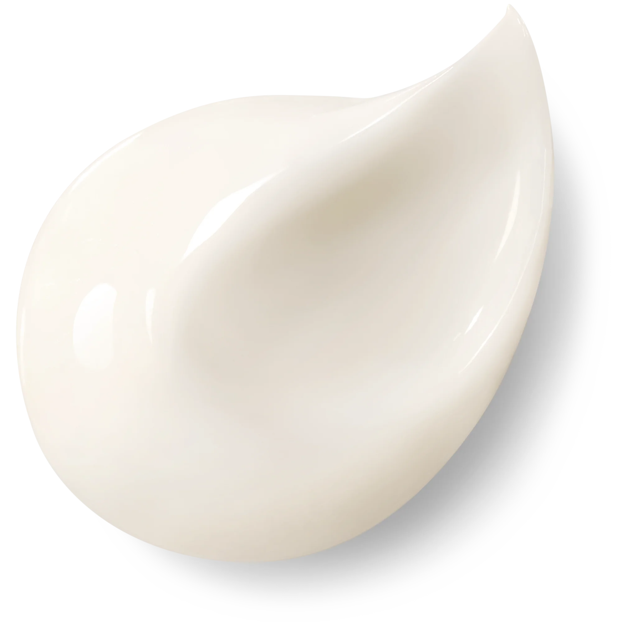 Miniatura 11
