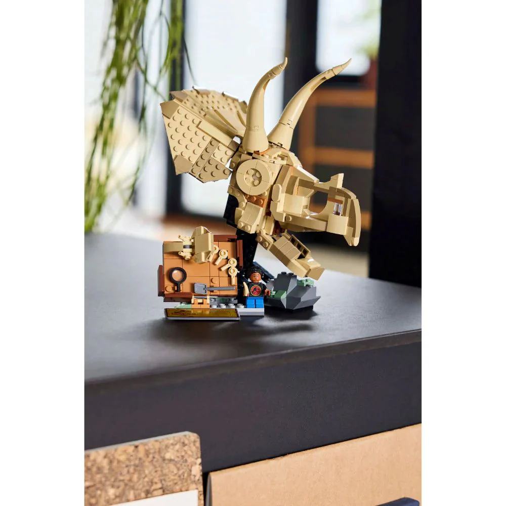 Miniatura 6