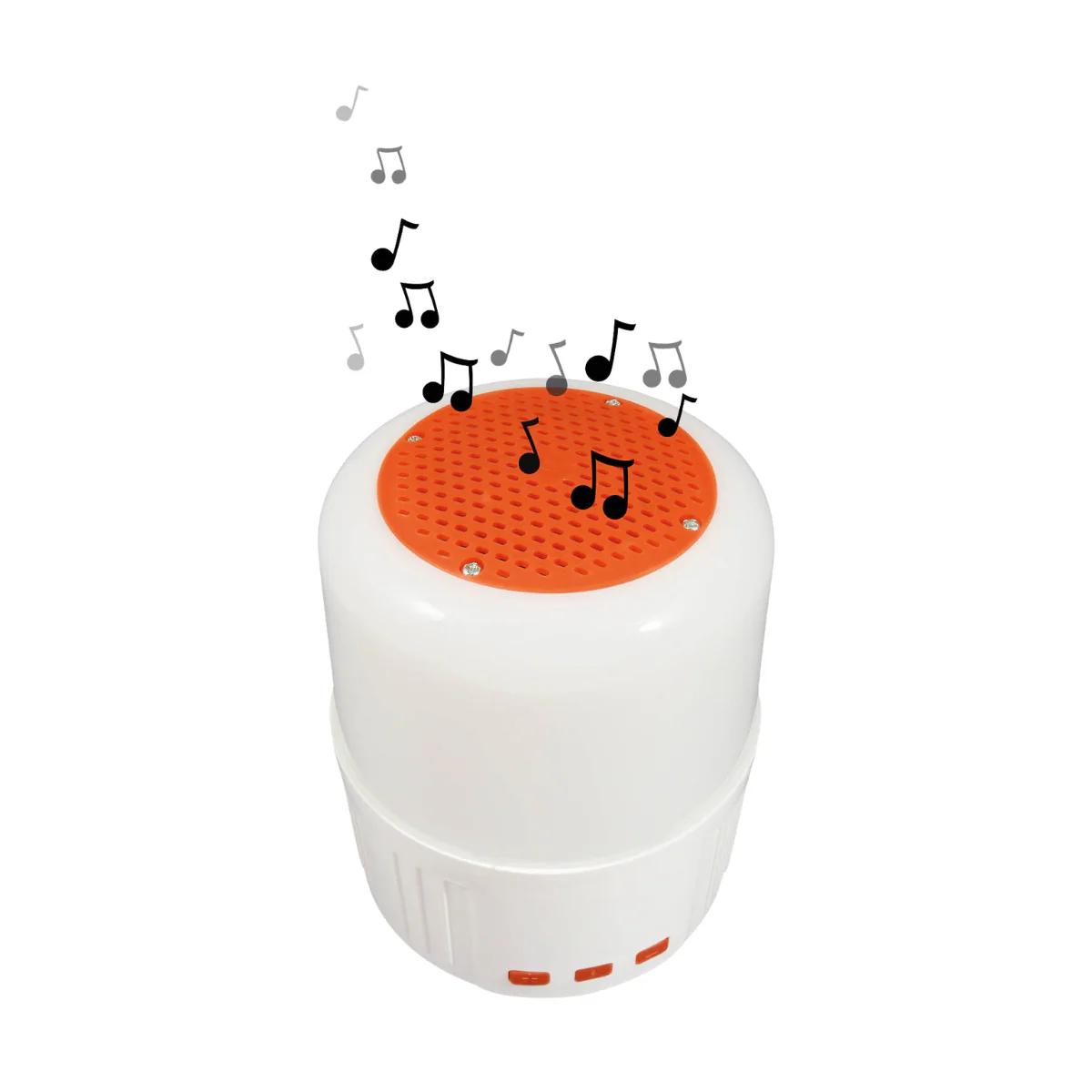 Miniatura 12