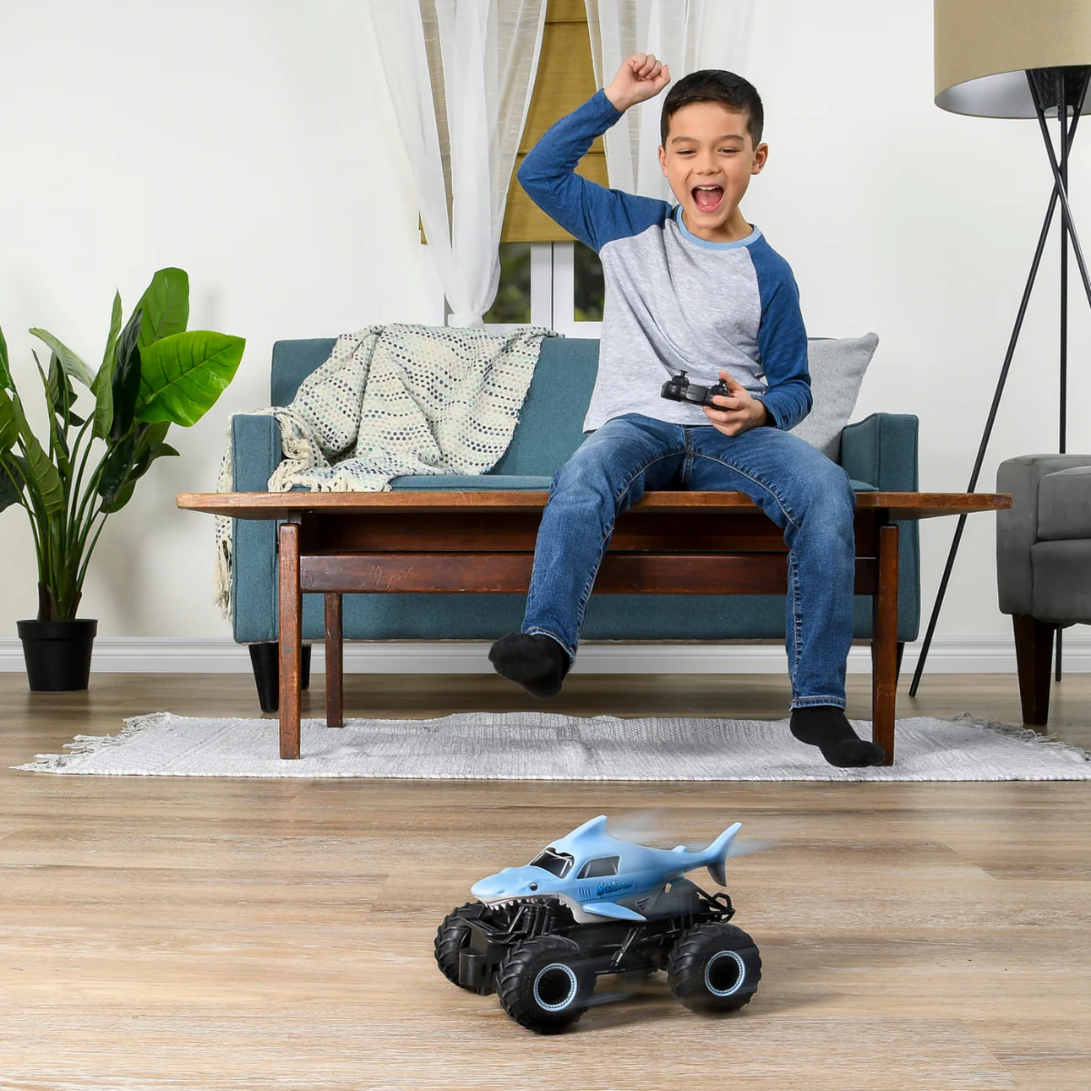 Miniatura 9