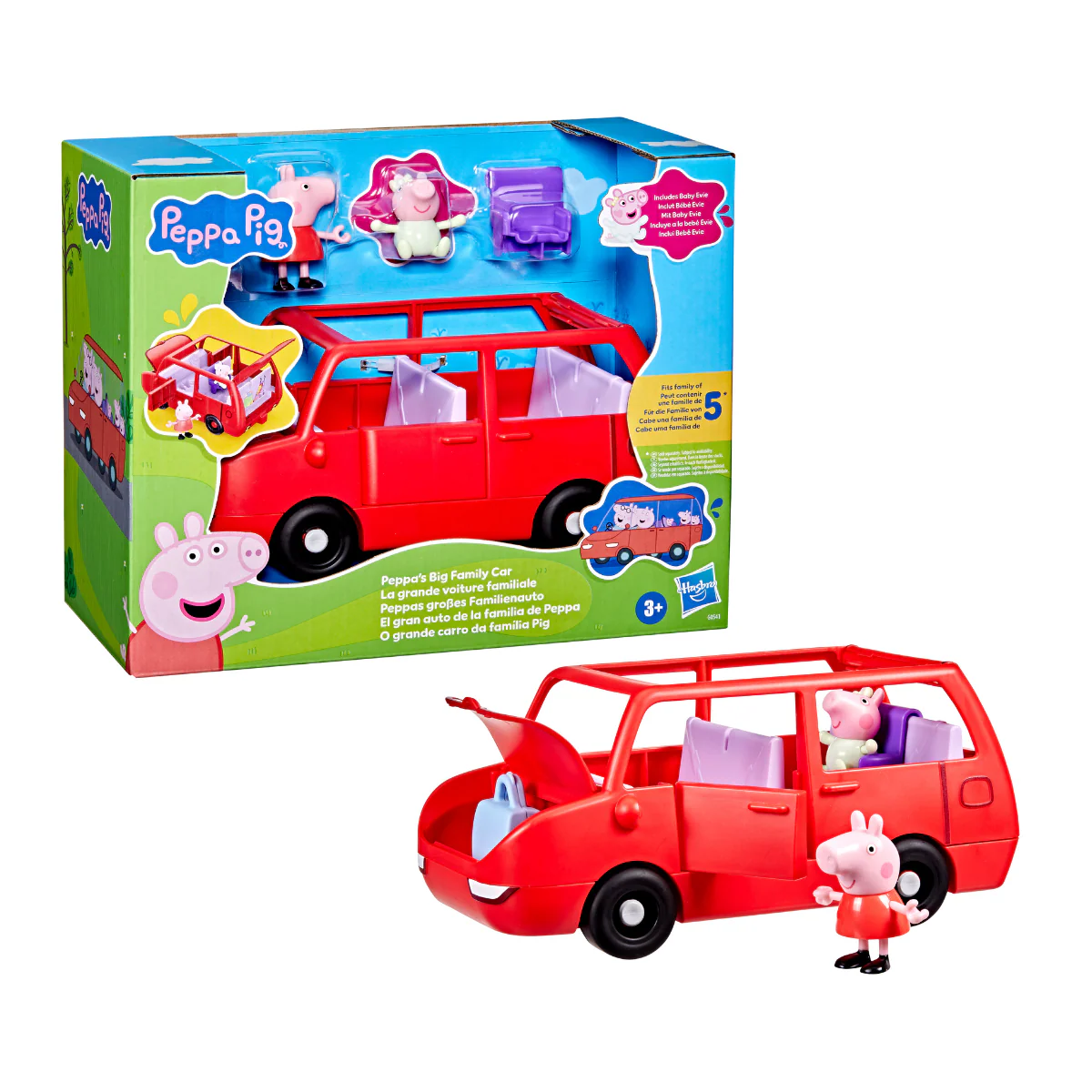 Miniatura 6