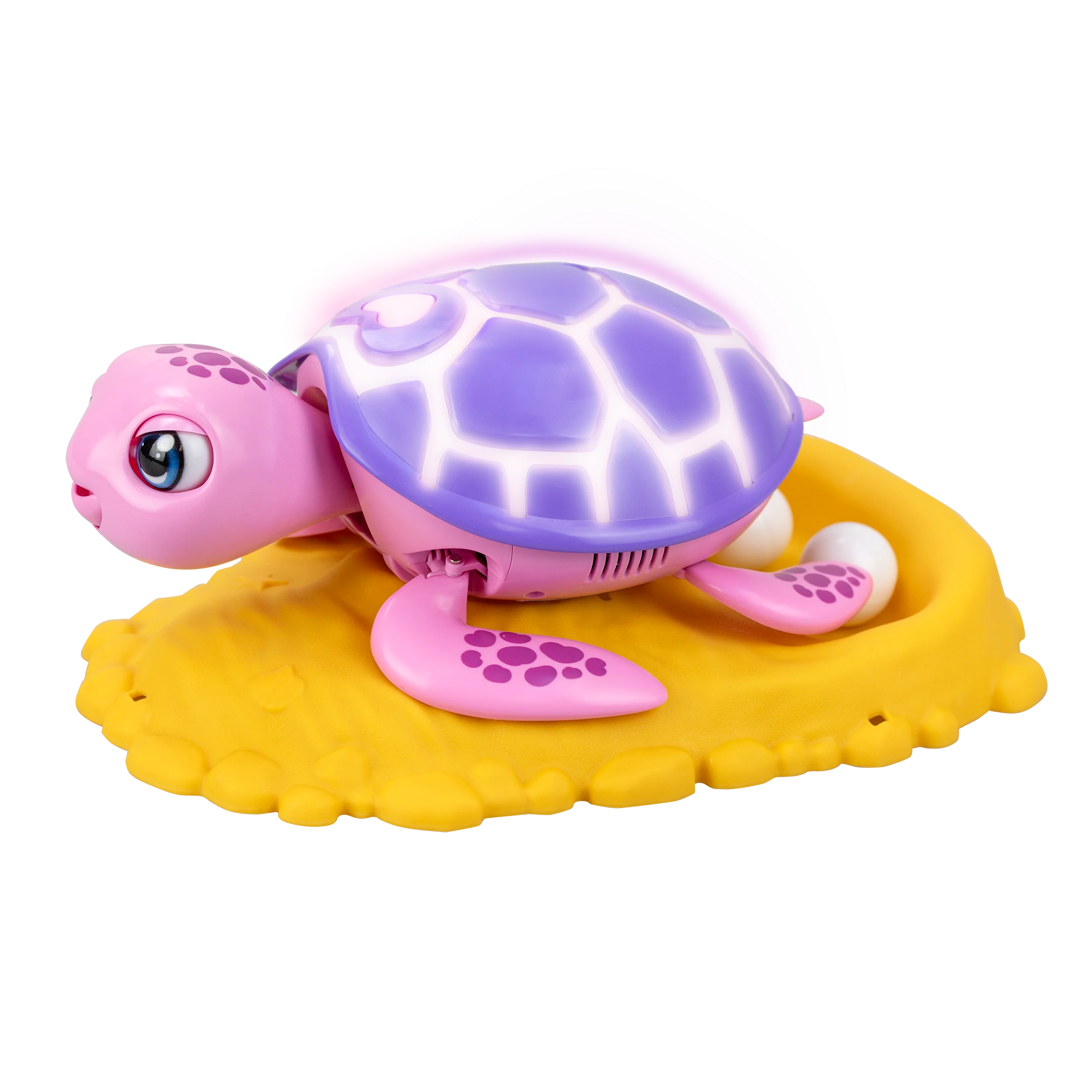 Miniatura 13