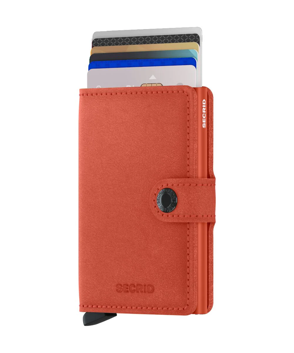 Miniatura 24