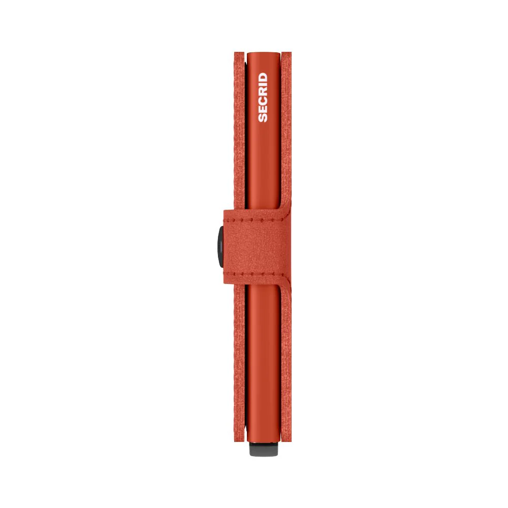 Miniatura 26