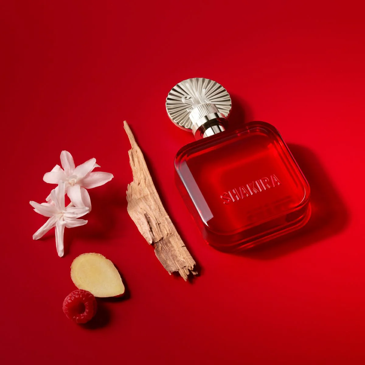 Miniatura 8