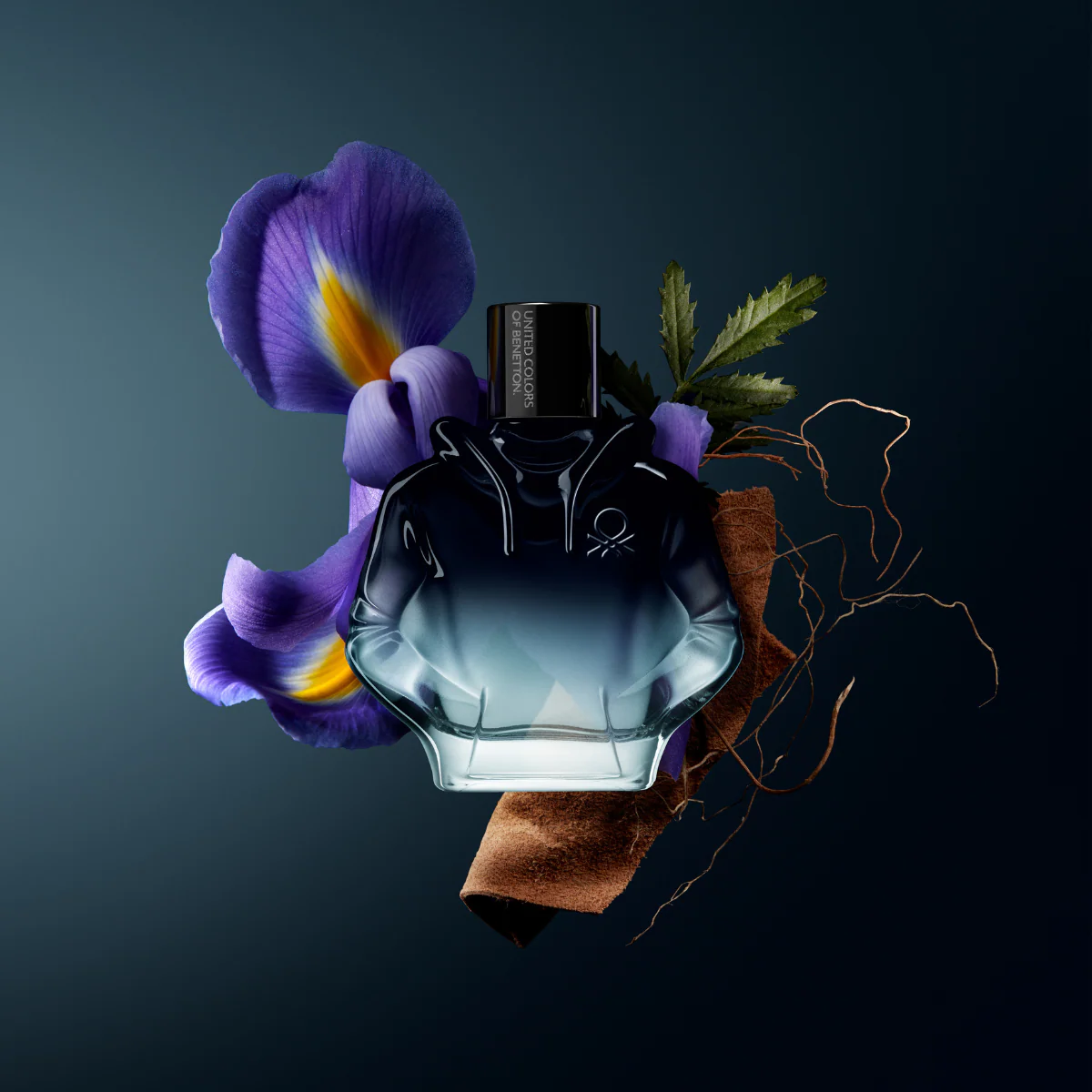 Miniatura 6